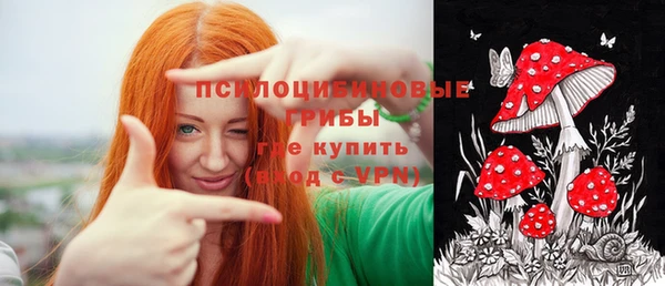прущая мука Арсеньев